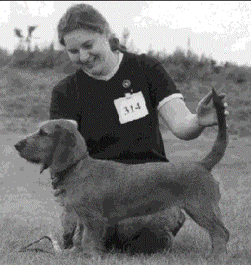 Ruth showing Dido